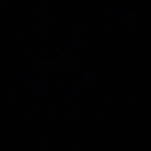 Meet your Posher, Francisca